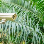 Security camera mounted in a garden, monitoring the area for safety and surveillance purposes