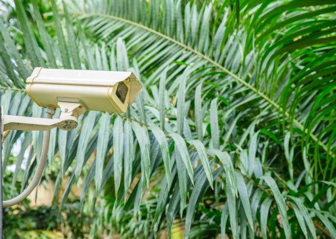 Lesson from the Stars: What Every Homeowner Can Learn from Celebrity Break-Ins